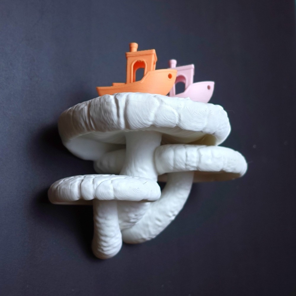 Gazzaladra Wall Shelf Edodes Fungus for Party, Living Room, Bedroom